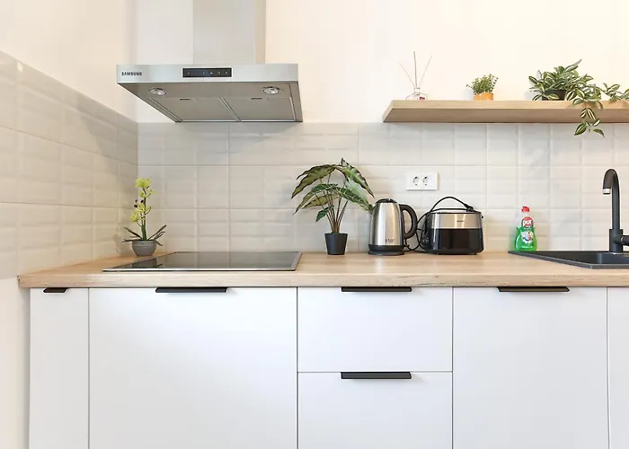 公寓 Ada Homes 08 布拉索夫